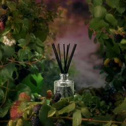 Voluspa Foraged Wildberry|Reed Diffusers|Foraged Wildberry