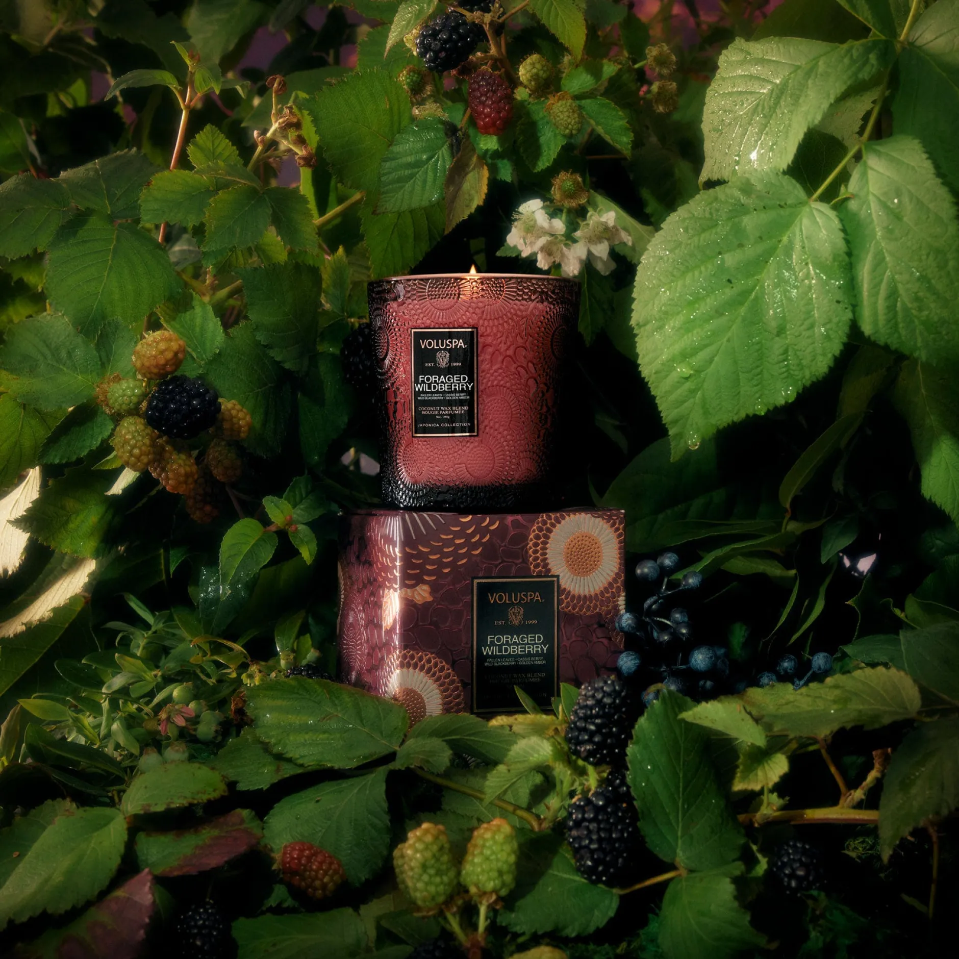 Voluspa Classic Candles|Foraged Wildberry|Foraged Wildberry