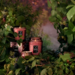 Voluspa Classic Candles|Foraged Wildberry|Foraged Wildberry