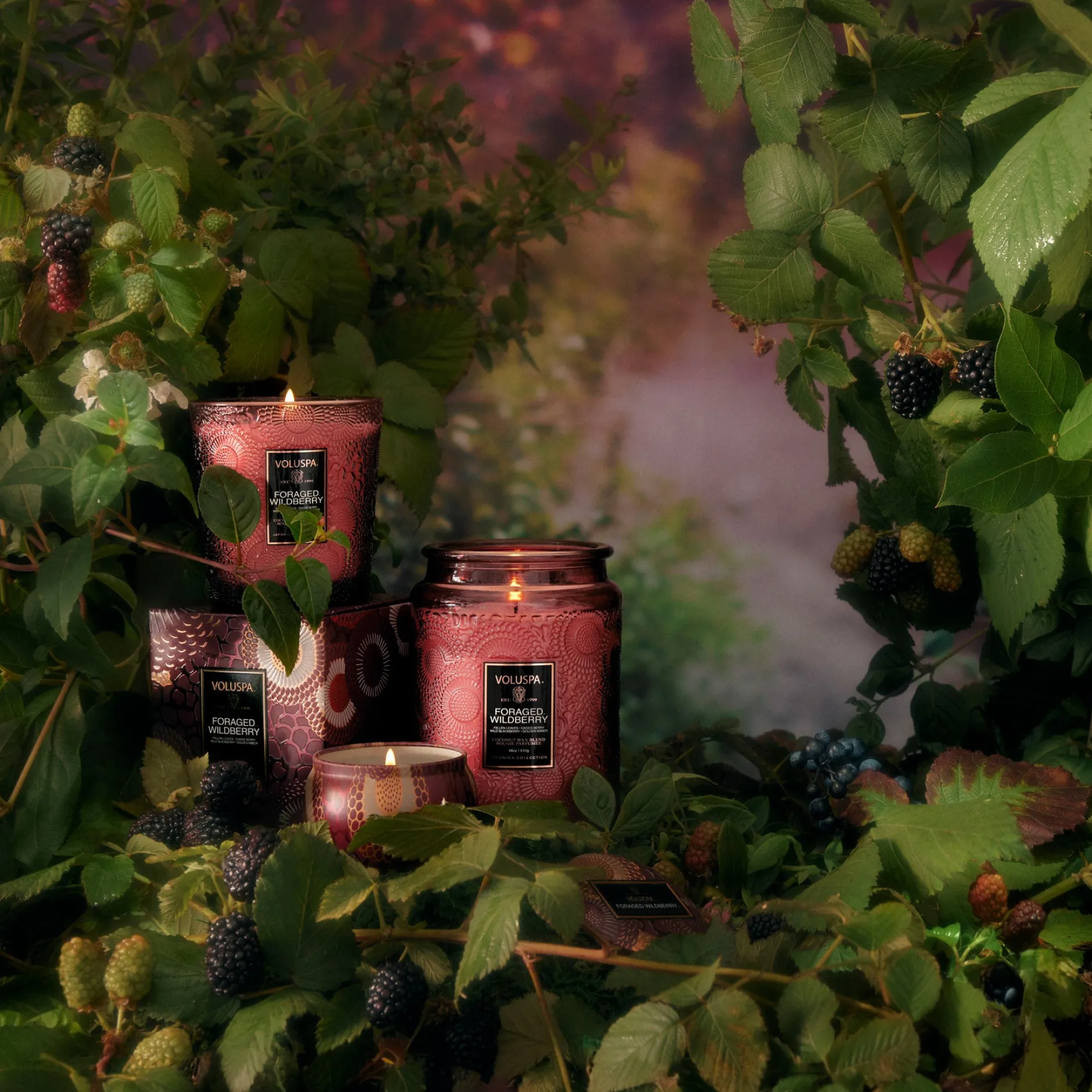 Voluspa Classic Candles|Foraged Wildberry|Foraged Wildberry