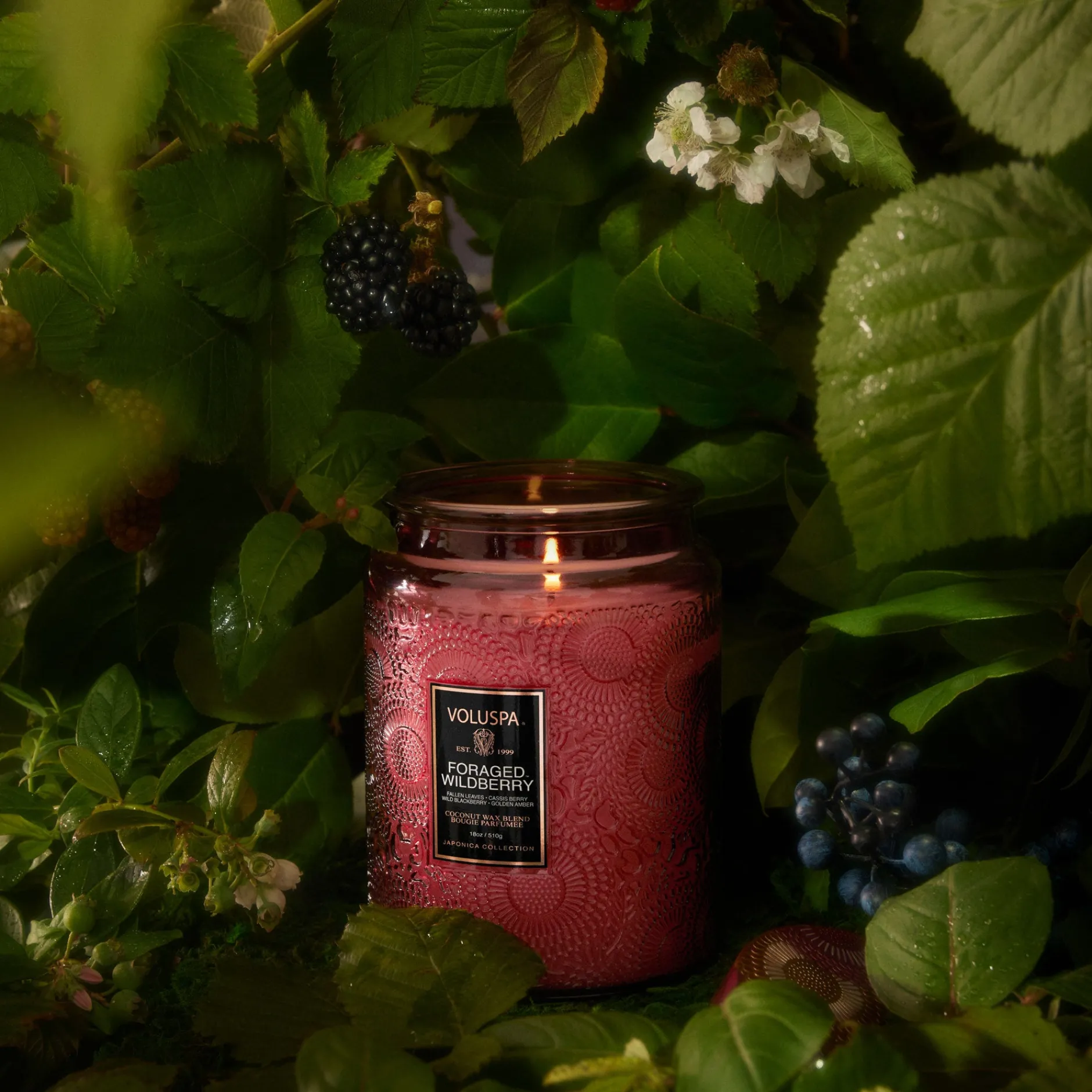 Voluspa Foraged Wildberry|Large Jars|Foraged Wildberry