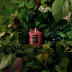 Voluspa Small Jars|Foraged Wildberry|Foraged Wildberry