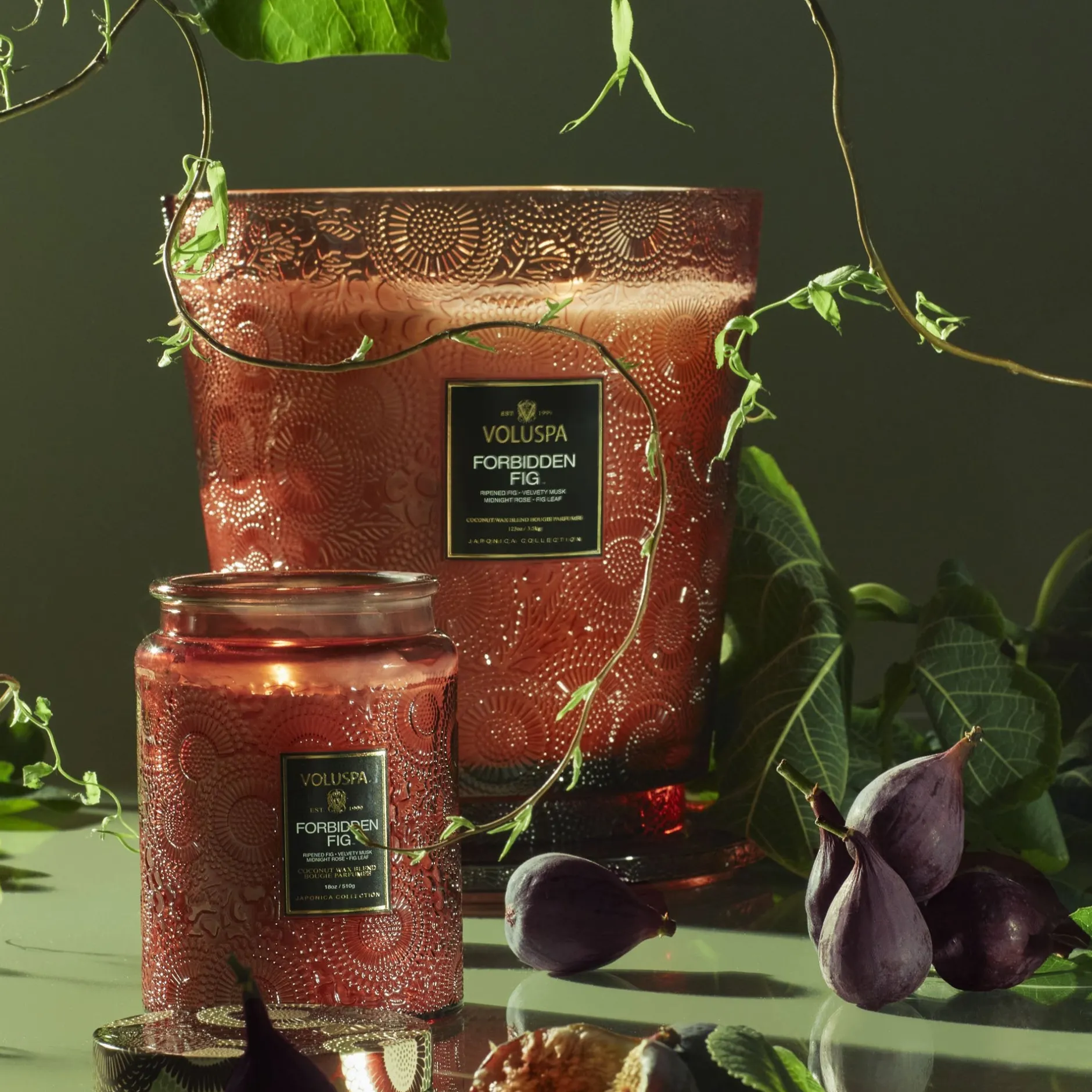 Voluspa Forbidden Fig|5 Wick Hearths|Forbidden Fig