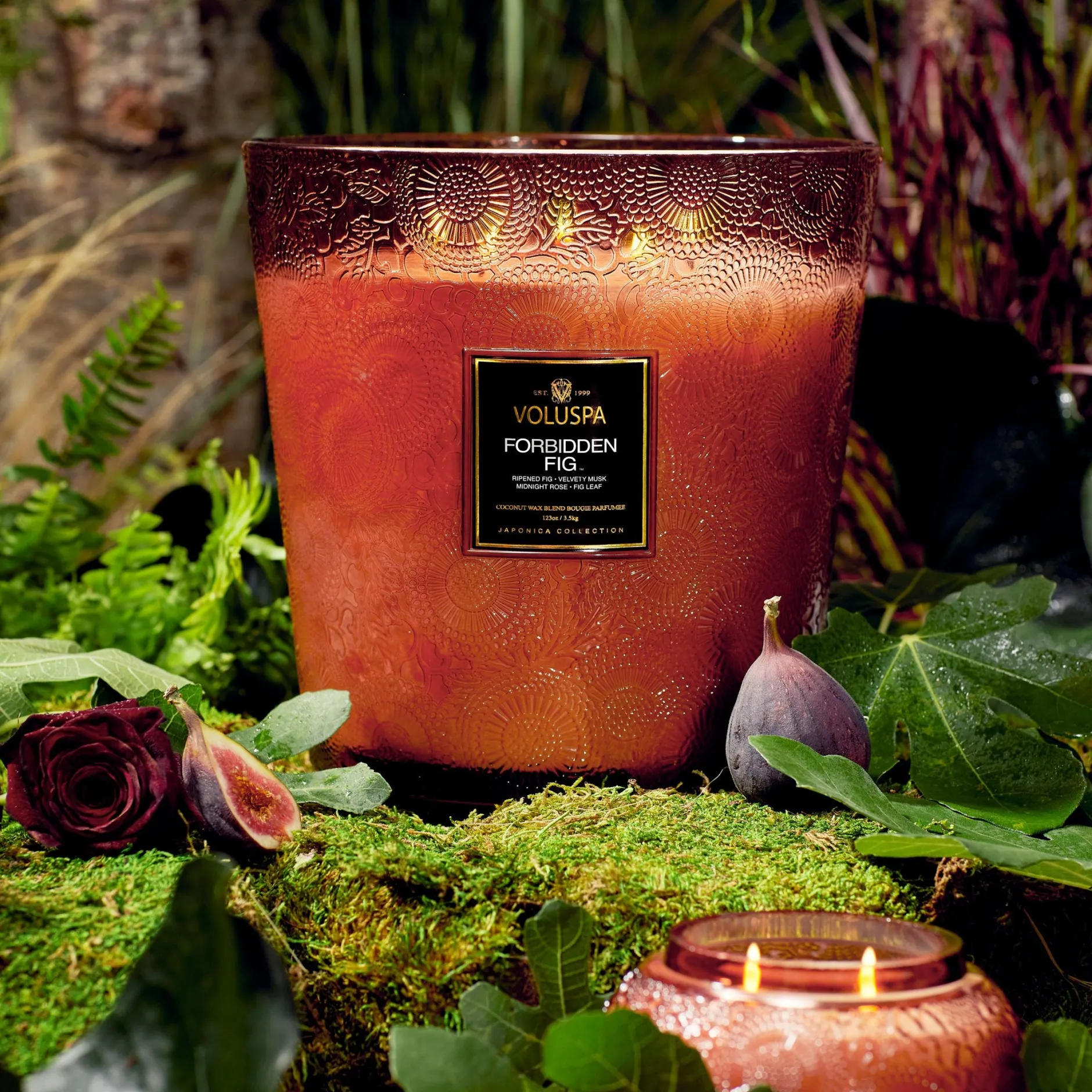 Voluspa Forbidden Fig|5 Wick Hearths|Forbidden Fig