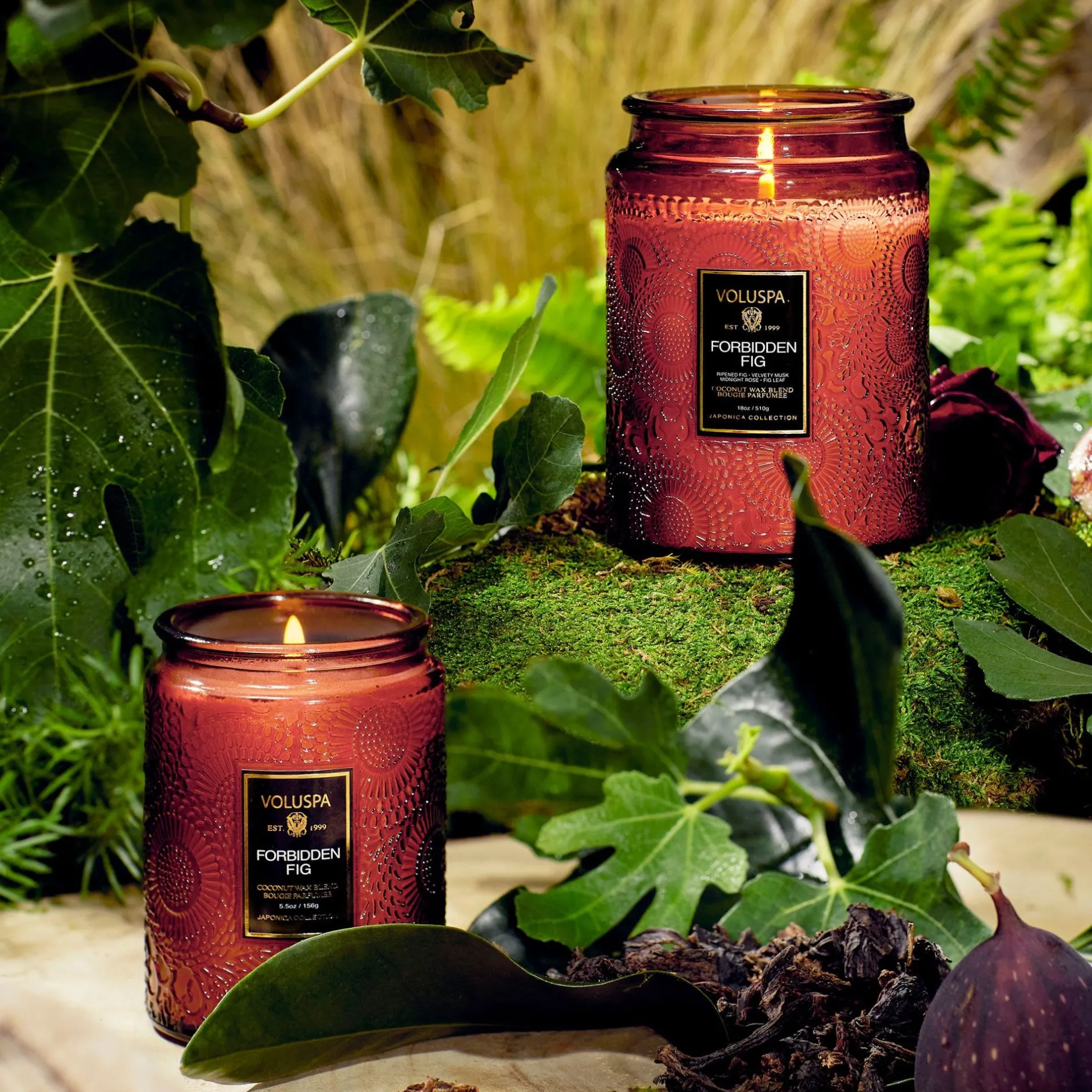 Voluspa Forbidden Fig|Large Jars|Forbidden Fig