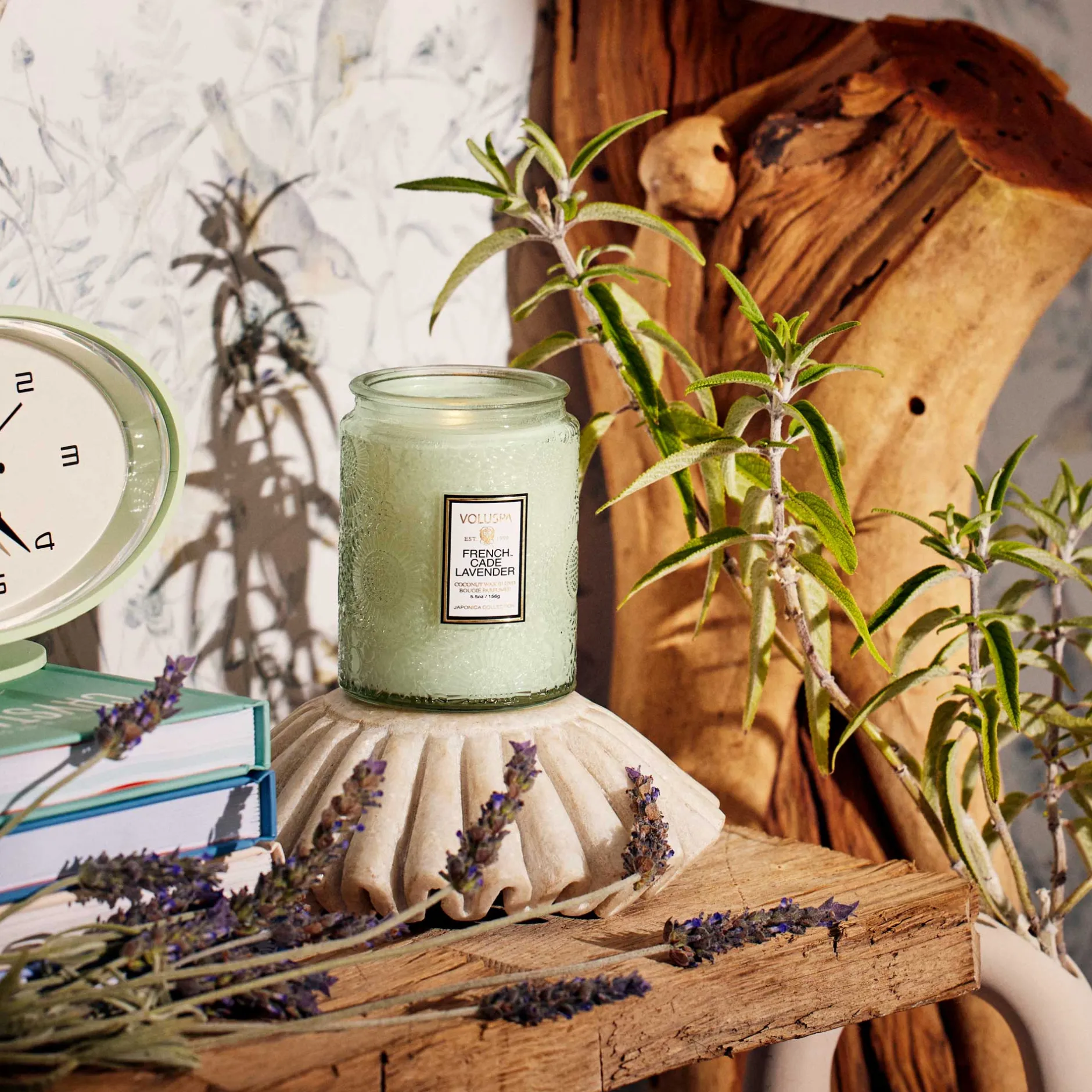 Voluspa French Cade Lavender|Small Jars|French Cade Lavender