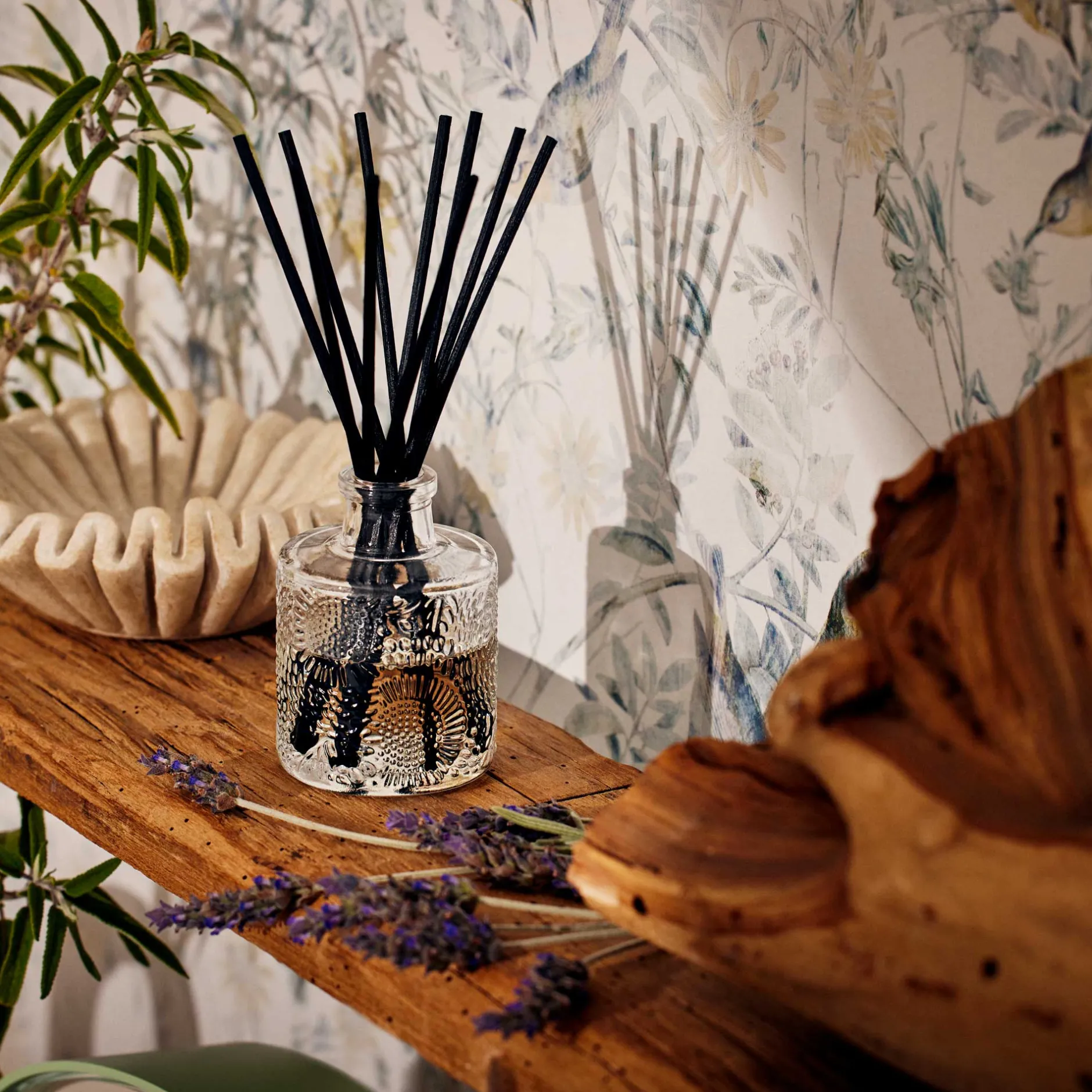 Voluspa Reed Diffusers|French Cade Lavender|French Cade Lavender