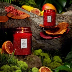 Voluspa Small Jars|Goji Tarocco Orange|Goji Tarocco Orange