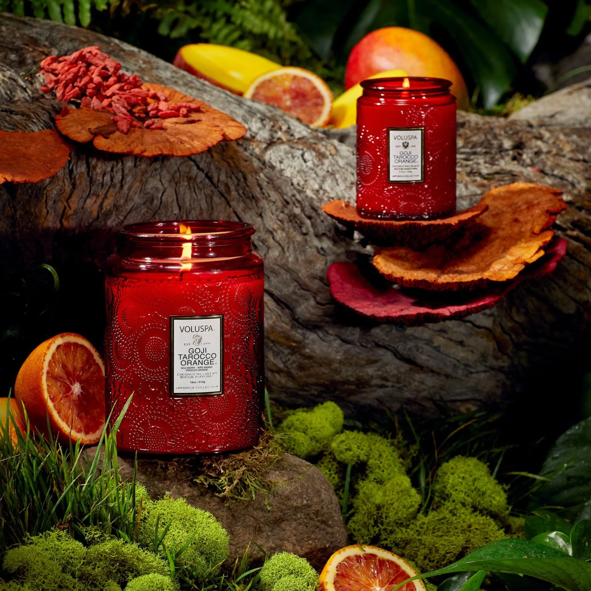 Voluspa Small Jars|Goji Tarocco Orange|Goji Tarocco Orange