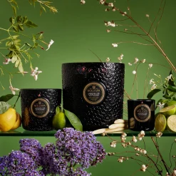 Voluspa Jardin De Verveine|5 Wick Hearths|Jardin De Verveine