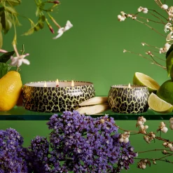 Voluspa Mini Tin|Jardin De Verveine|Jardin De Verveine