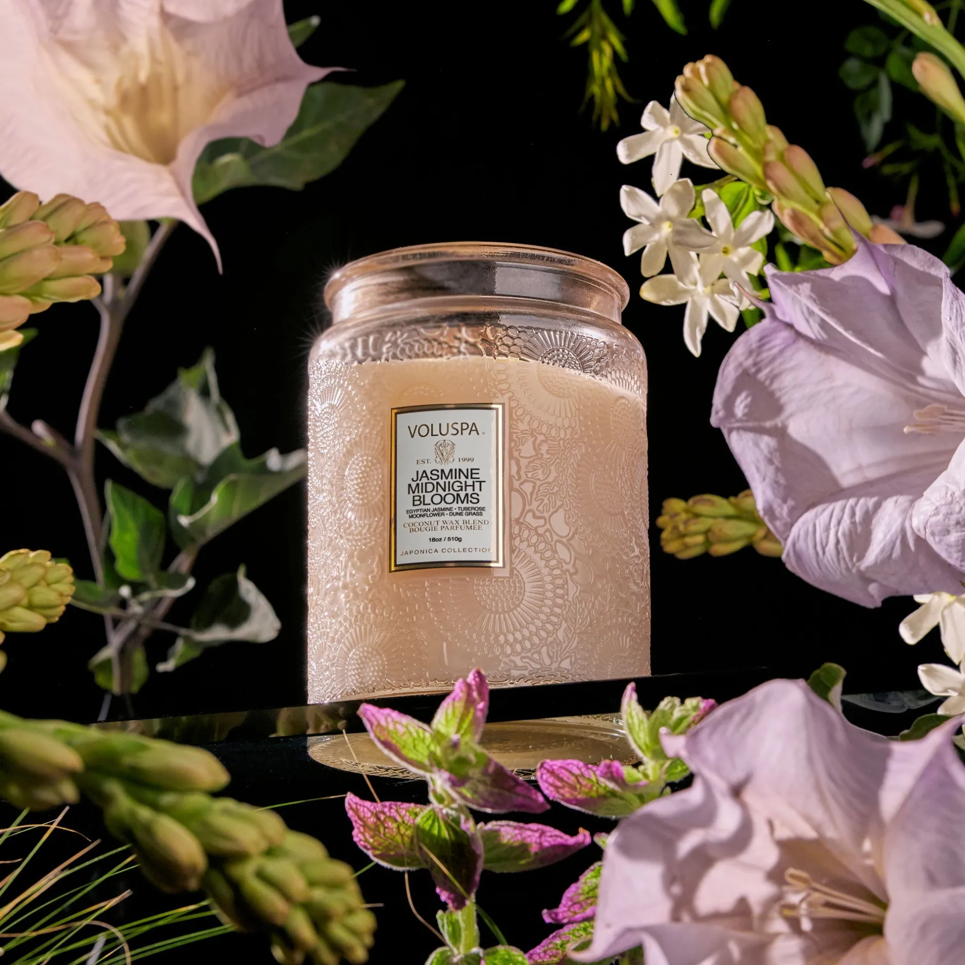 Voluspa Jasmine Midnight Blooms|Large Jars|Jasmine Midnight Blooms
