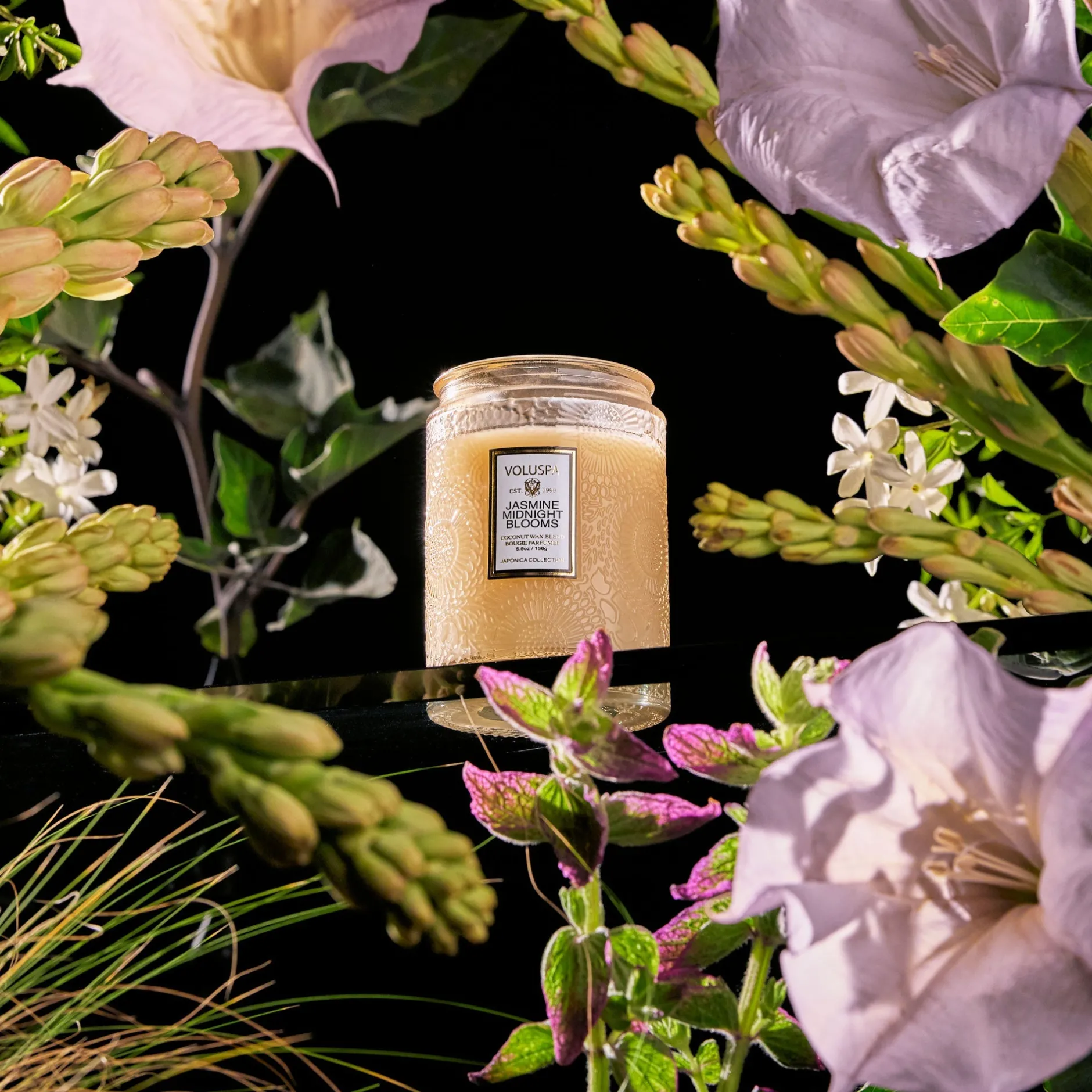 Voluspa Small Jars|Jasmine Midnight Blooms|Jasmine Midnight Blooms
