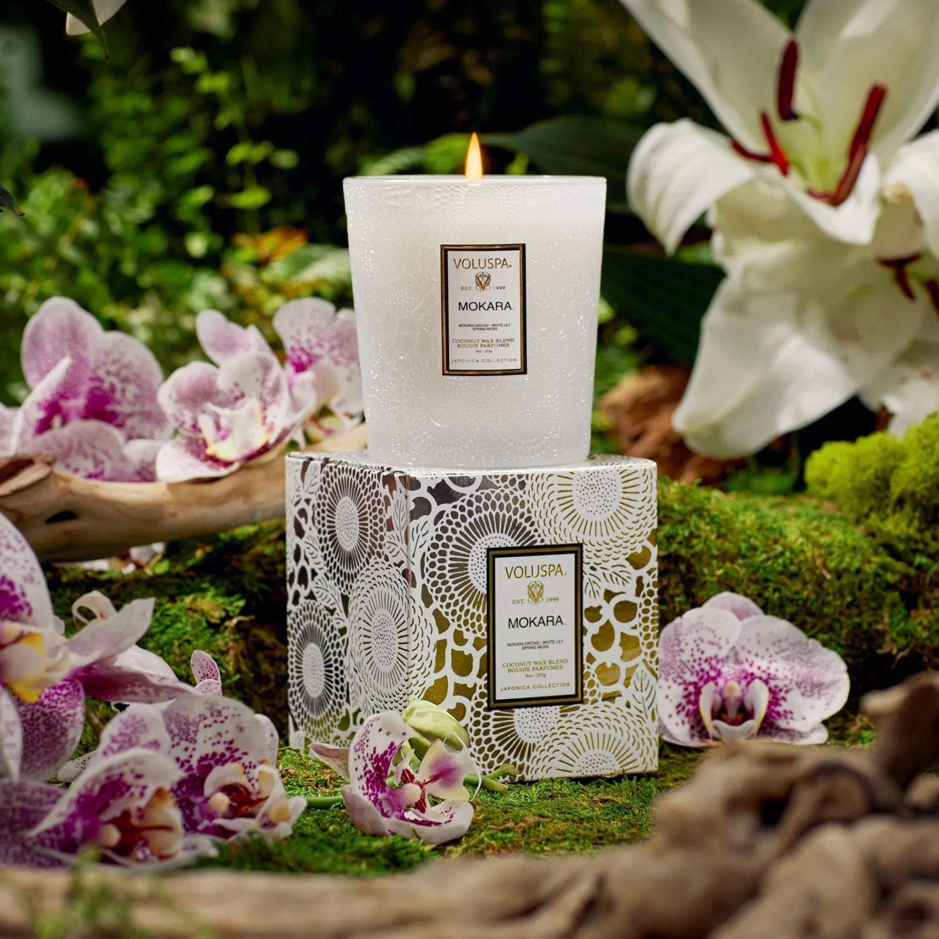 Voluspa Classic Candles|Mokara Orchid|Mokara