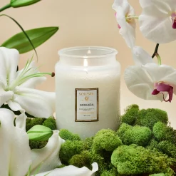 Voluspa Mokara Orchid|Large Jars|Mokara