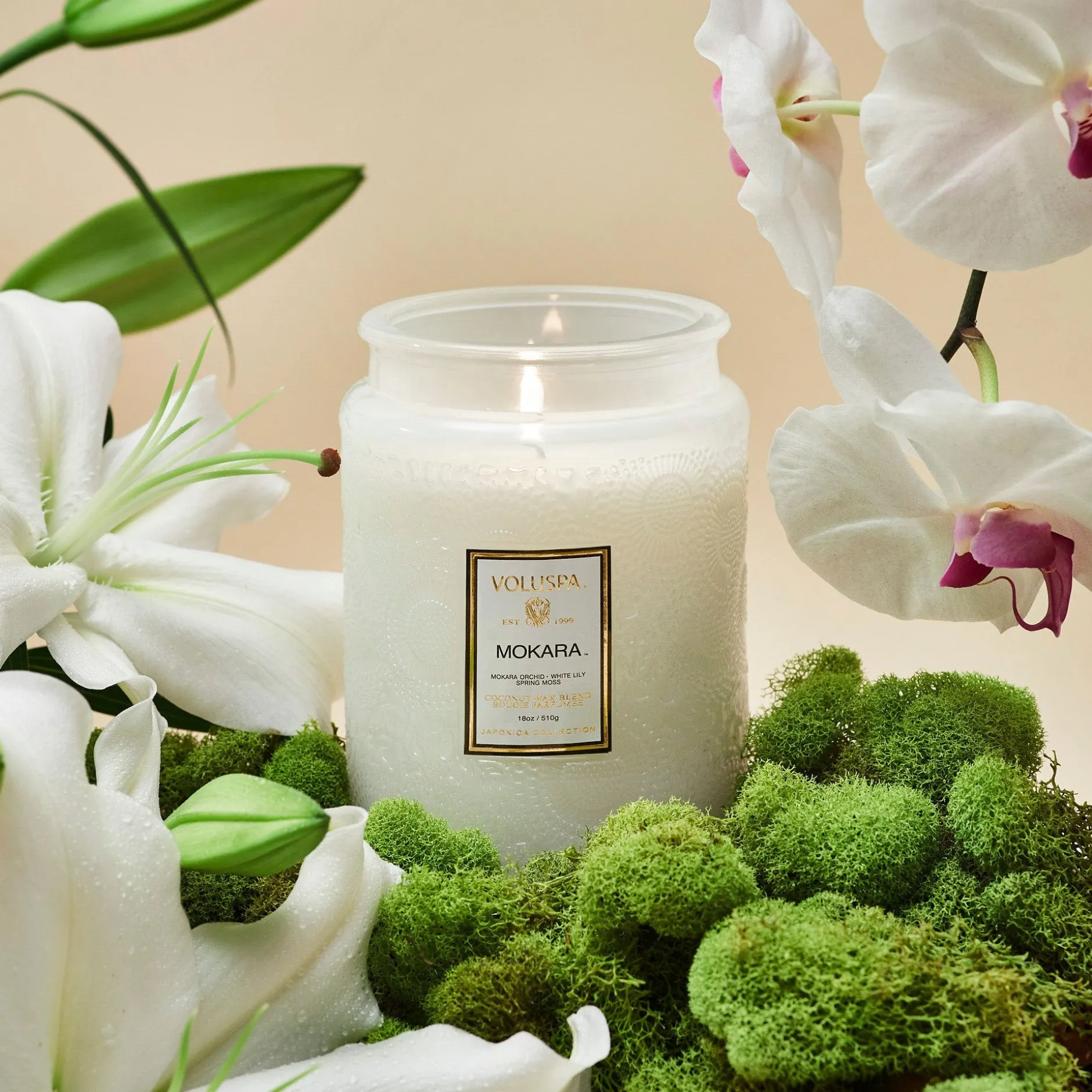 Voluspa Mokara Orchid|Large Jars|Mokara