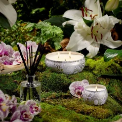 Voluspa Mini Tin|Mokara Orchid|Mokara