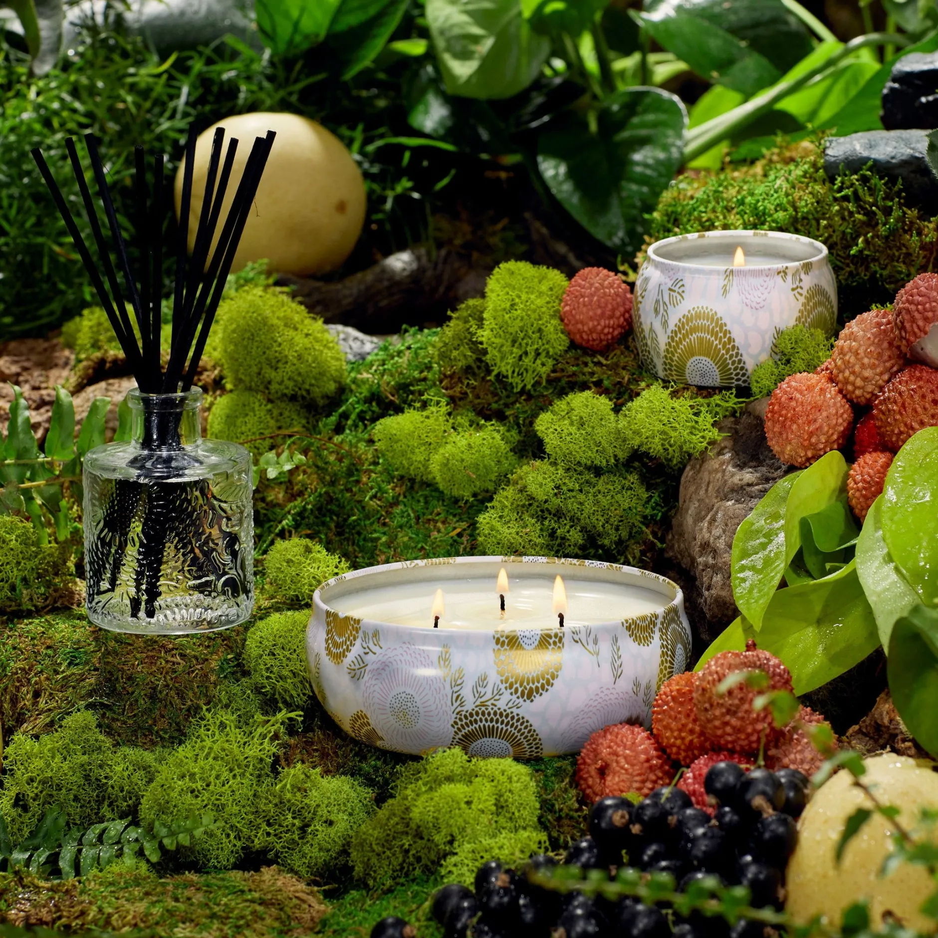 Voluspa 3 Wick Tin|Panjore Lychee