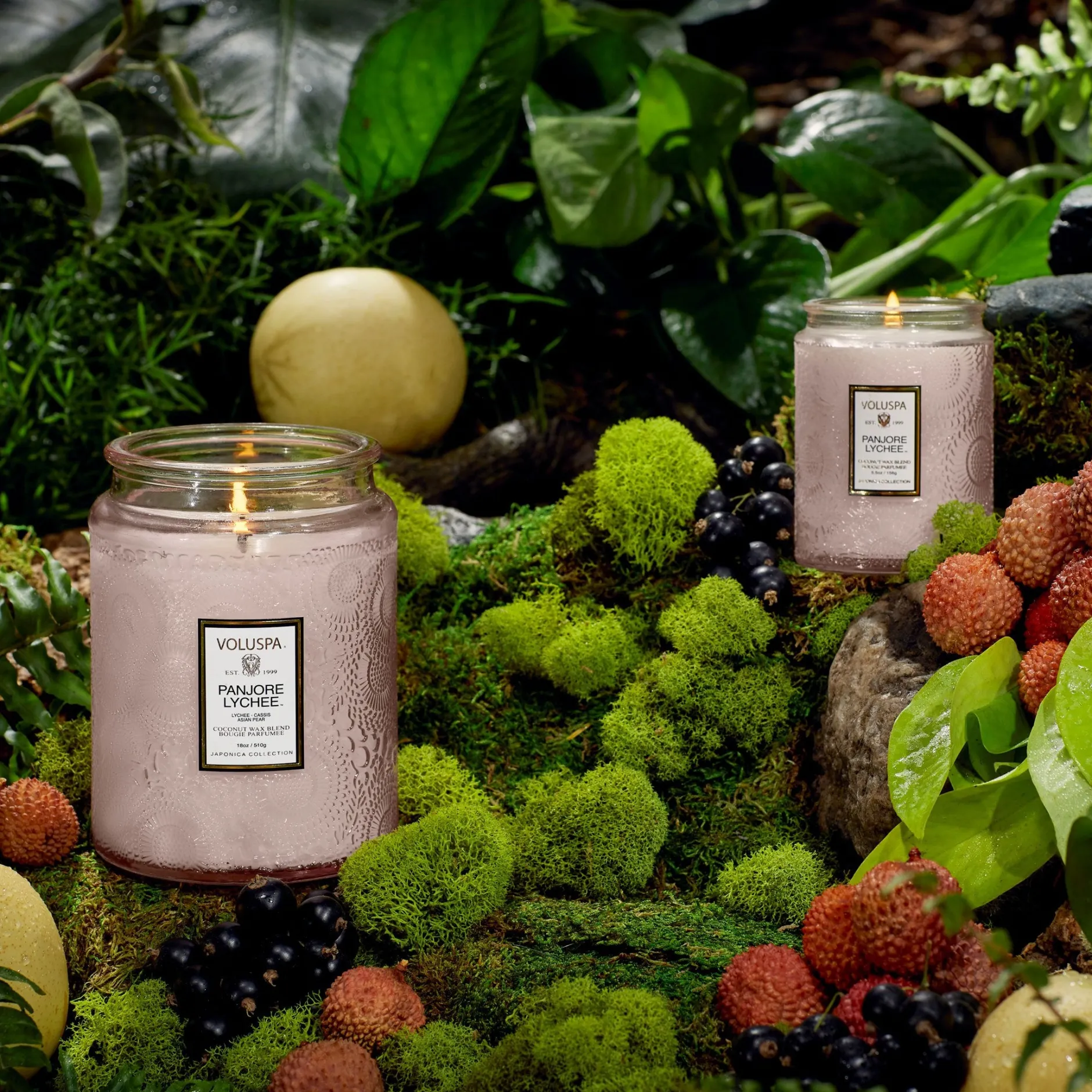 Voluspa Large Jars|Panjore Lychee