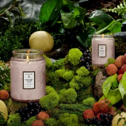 Voluspa Small Jars|Panjore Lychee