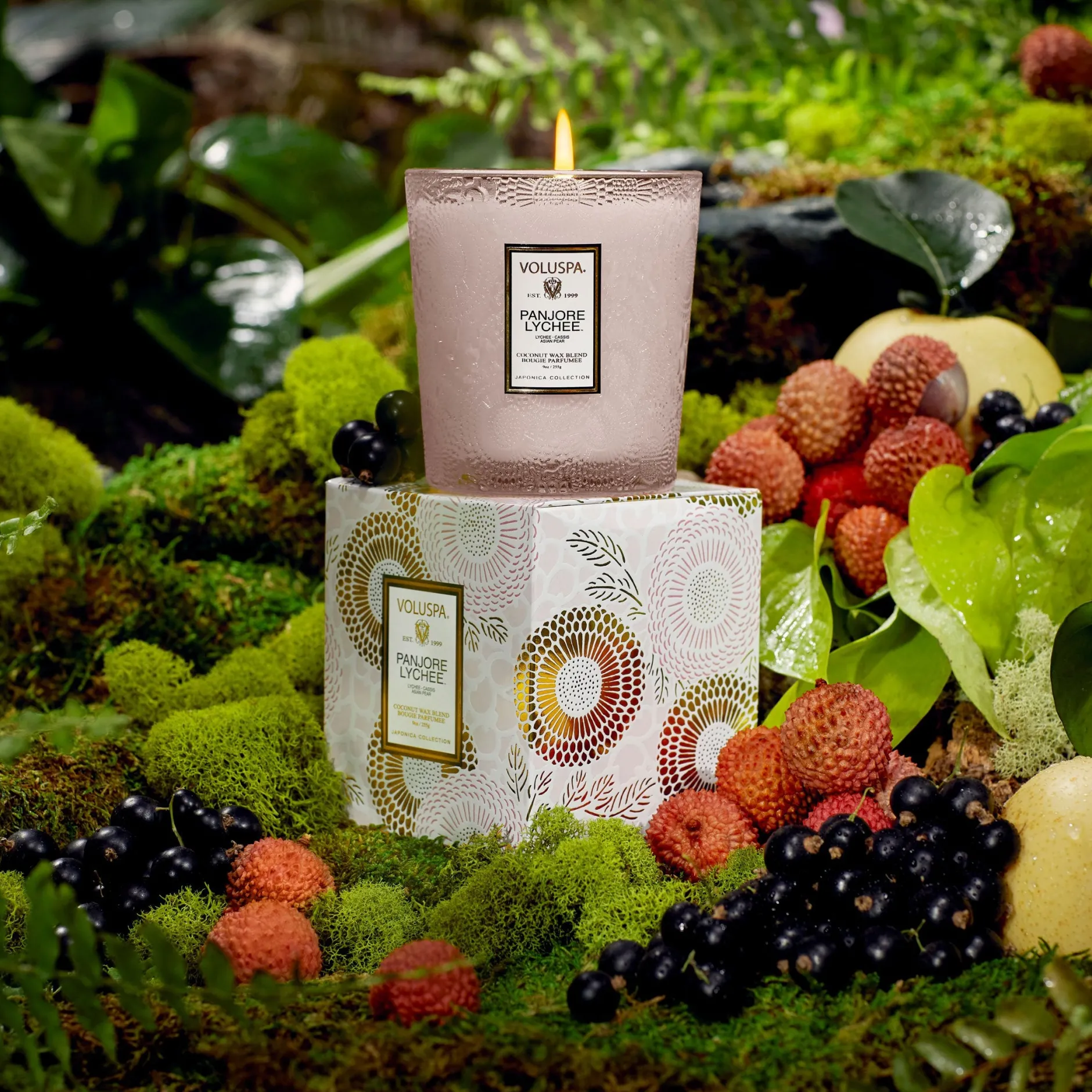 Voluspa Classic Candles|Panjore Lychee