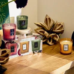 Voluspa Temple Moss|Foraged Wildberry|Restoration