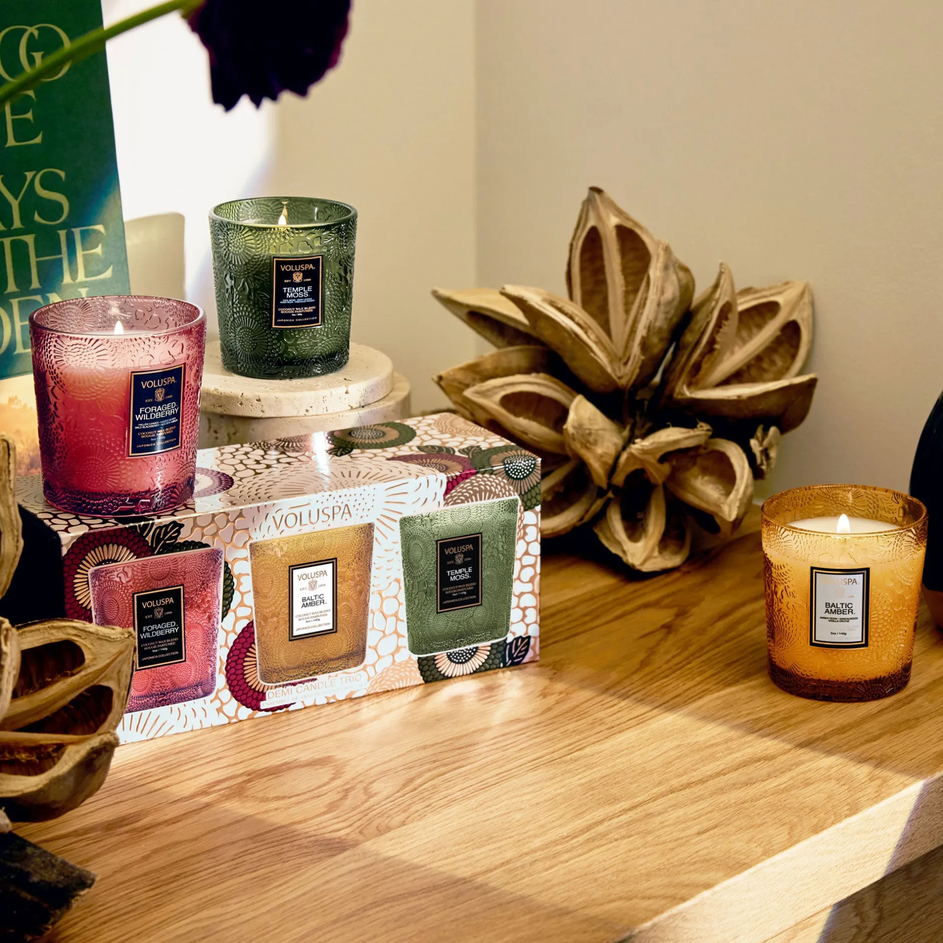 Voluspa Temple Moss|Foraged Wildberry|Restoration