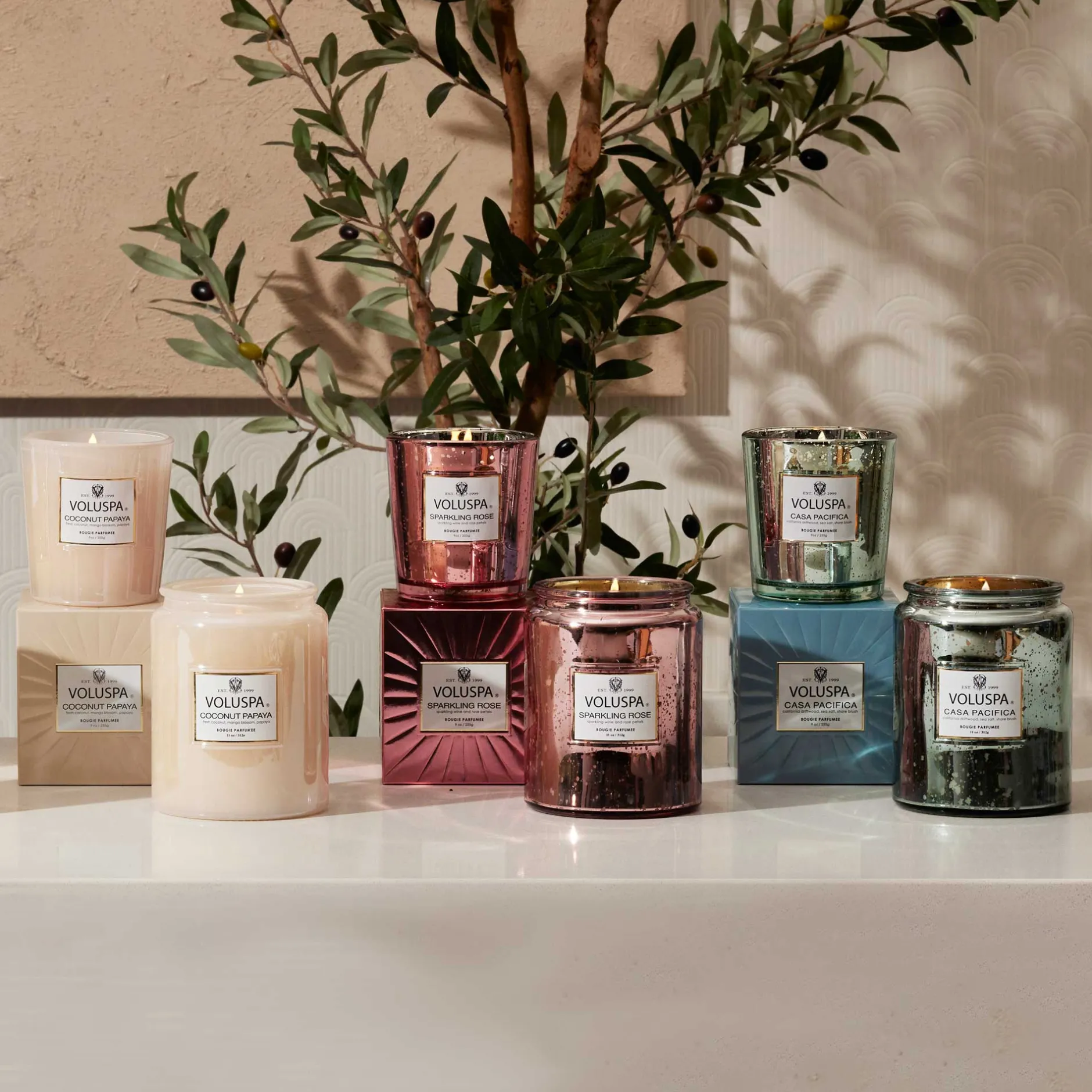 Voluspa Classic Candles|Sparkling Rose