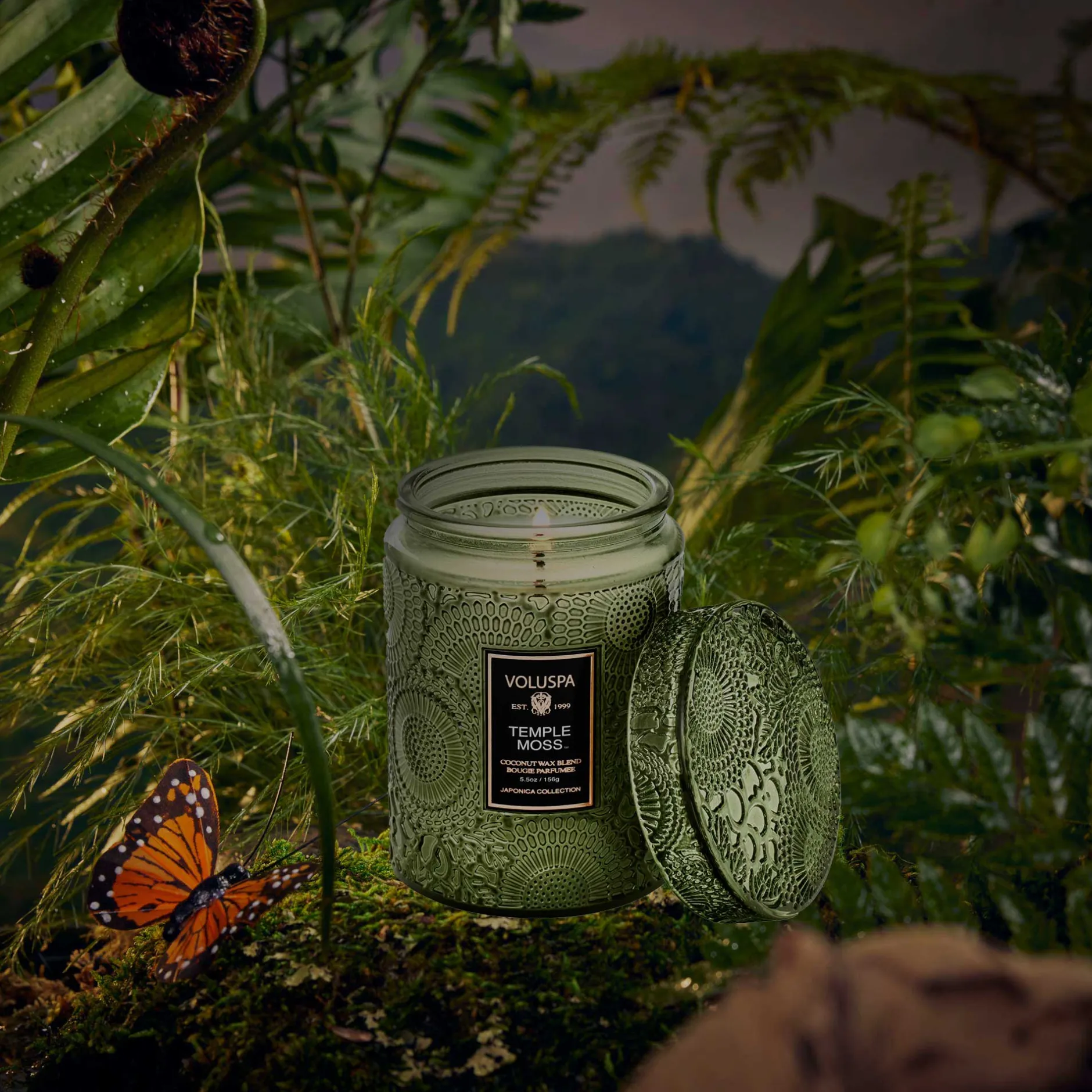 Voluspa Small Jars|Temple Moss|Temple Moss