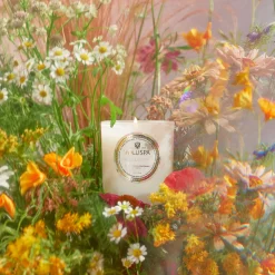 Voluspa Classic Candles|Wildflowers