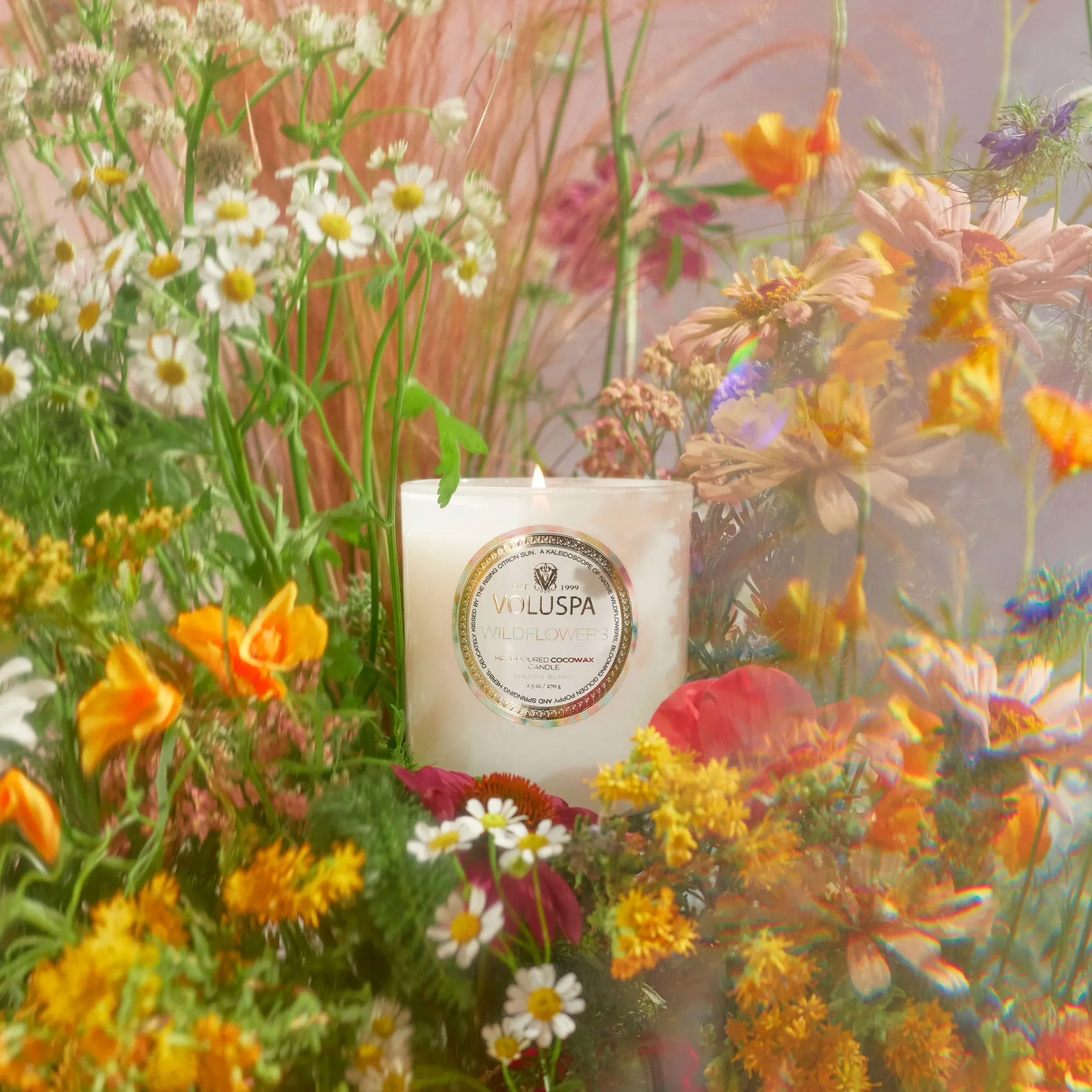 Voluspa Classic Candles|Wildflowers
